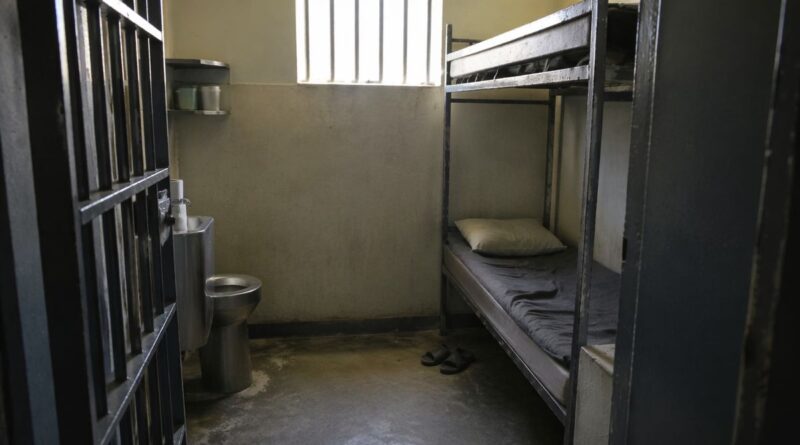 KZN life sentences