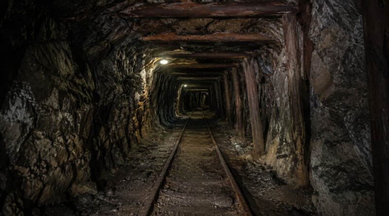 Uitkomst Mine future