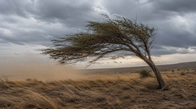 KZN wind warning