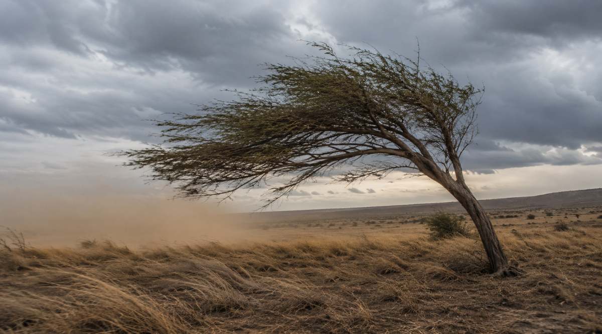 KZN wind warning