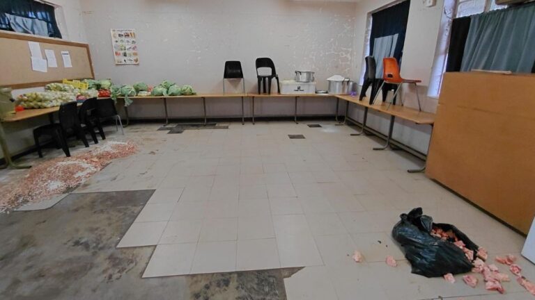 Chelmsford Primary School break-in