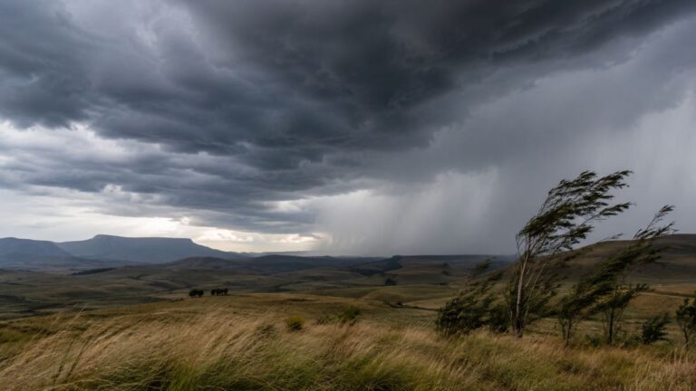 KZN cold front