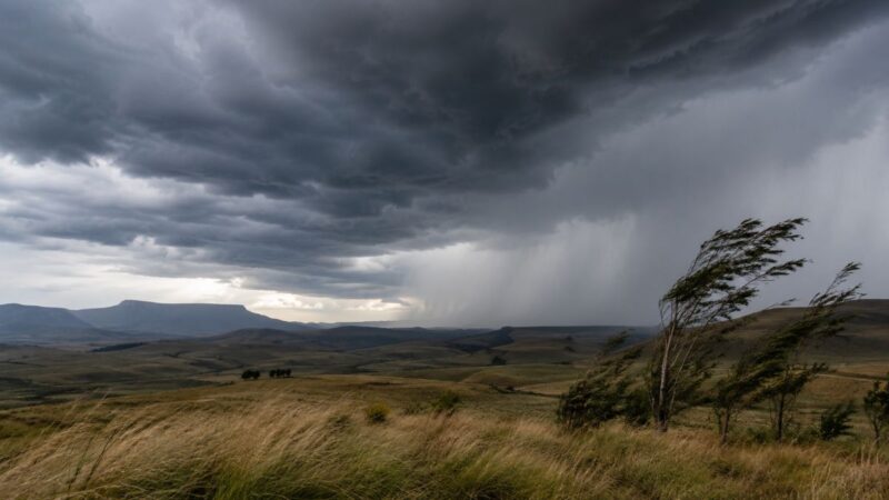 KZN cold front