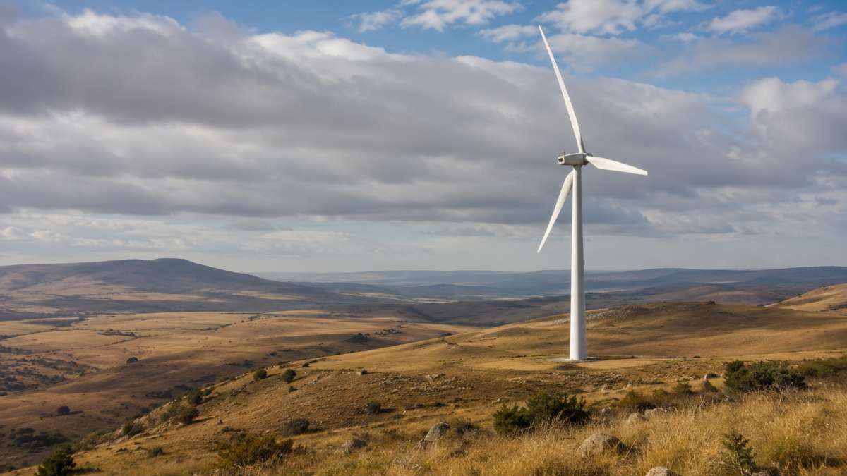 Newcastle wind farm