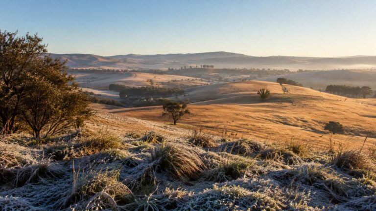 Newcastle Ladysmith Vryheid weekend weather