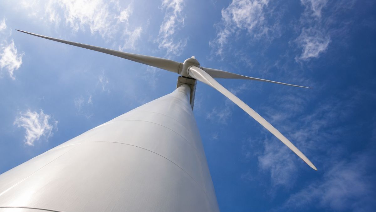 Newcastle wind farm